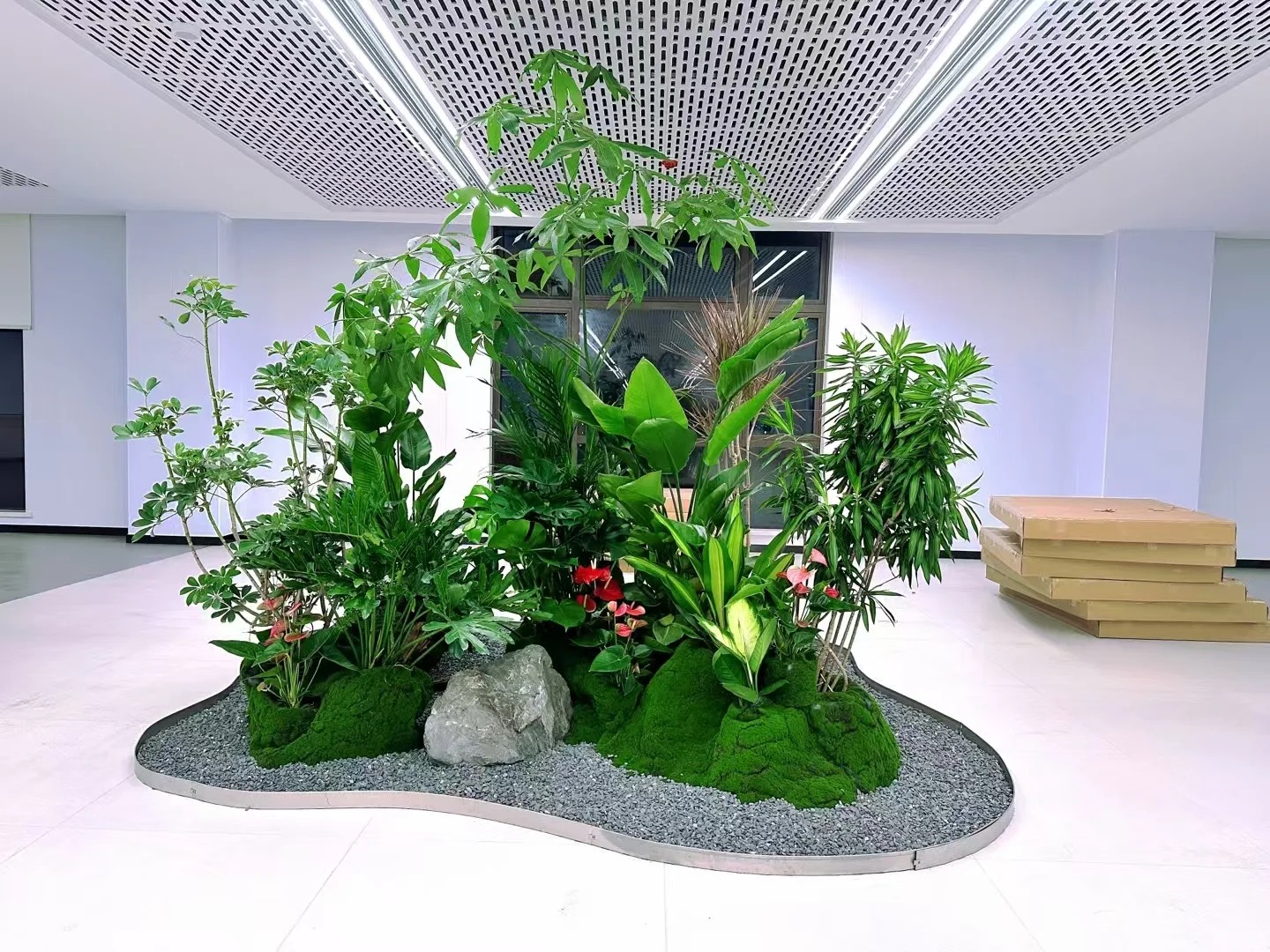 体验宁波余姚植物租赁设计,畅享清新宜人家居氛围